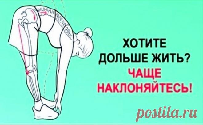 Хочешь жить дольше? Чаще наклоняйся!
Поясничная мышца (the psoas muscle) — это самая глубокая мышца человеческого тела, влияющая на наш структурный баланс, мышечную интеграцию, гибкость, силу, диапазон движений, подвижность суставов и функционирование органов. «Мышца души» находится в теле вовсе не в груди, как можно предположить, а в области таза. Стрессы современной жизни закрепощают ее, порождая проблемы со здоровьем. Влияние образа […]
Читай дальше на сайте. Жми подробнее ➡