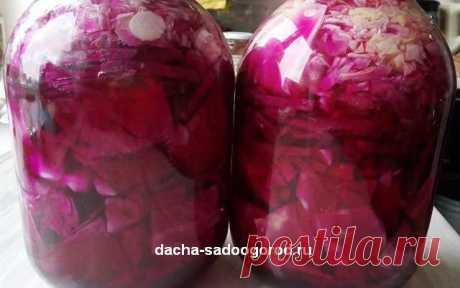 Маринованная капуста со свеклой