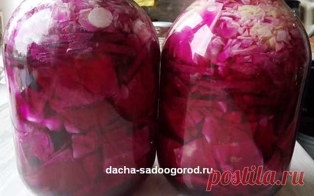 Маринованная капуста со свеклой