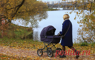 В ОП призвали сохранить маткапитал на первого ребенка и увеличить на второго. По мнению председателя комиссии Общественной палаты по демографии, защите семьи, детей и традиционных семейных ценностей Сергея Рыбальченко, при рождении третьего ребенка поддержка должна быть еще существеннее