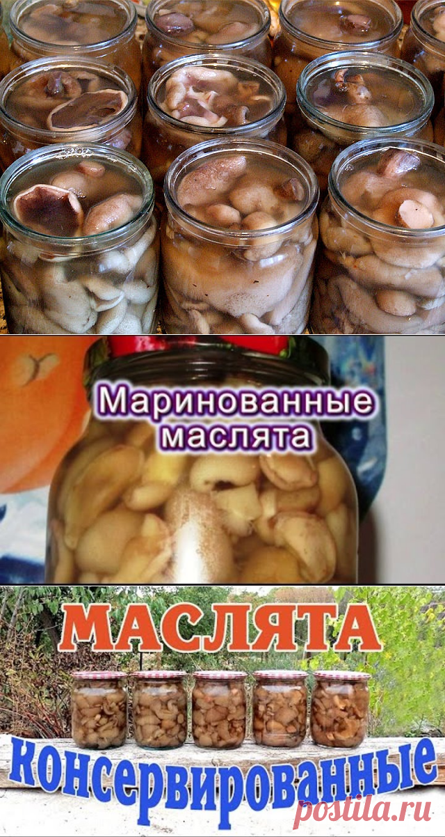 (6) Одноклассники