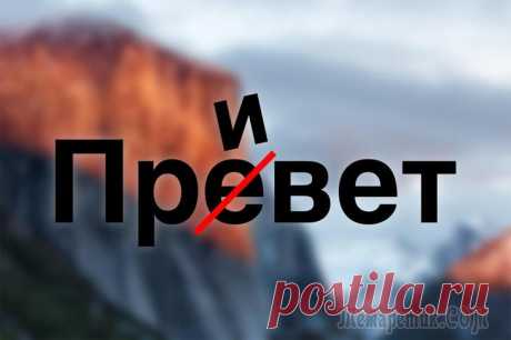 Проверка орфографии онлайн — 10 сервисов
