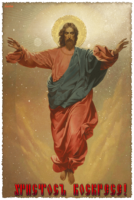 0_163f4e_77305a7c_orig.gif (600×899)