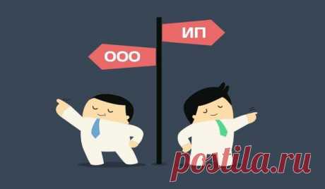 В чём различия между ИП и ООО и что выгоднее зарегистрировать / Основы бизнеса