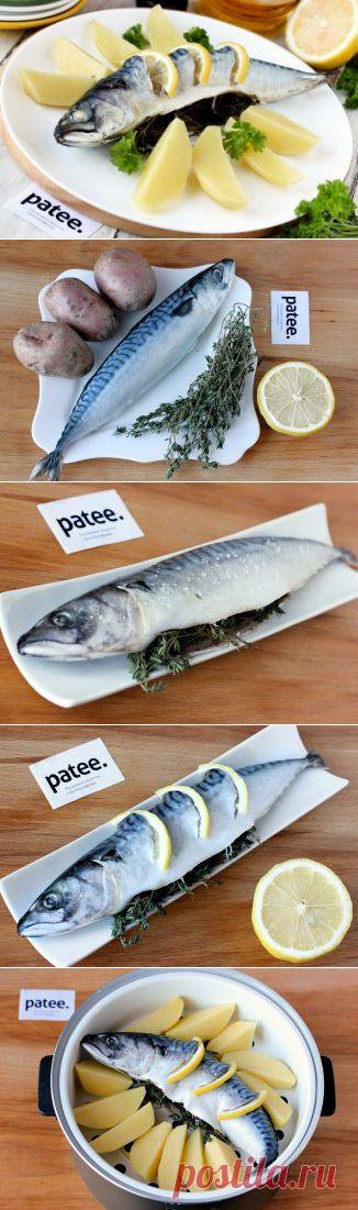 Скумбрия с лимоном и тимьяном на пару в мультиварке - рецепт для мультиварки - patee.ru