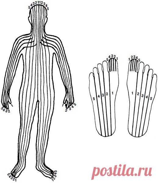 Читать "Целительные точки нашего тела. Практический атлас" - Коваль Дмитрий - Страница 4 - ЛитМир