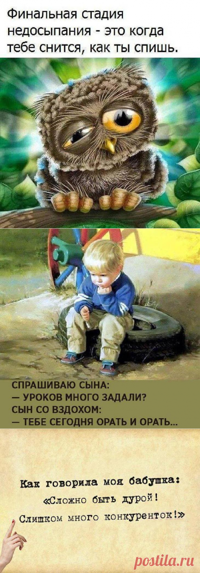Веселые мысли в картинках для хорошего настроения на целый день