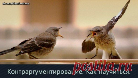 Контраргумент / Сферический бизнес