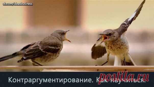 Контраргумент / Сферический бизнес
