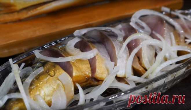 Скумбрия в бутылке: оригинальный способ посола рыбы