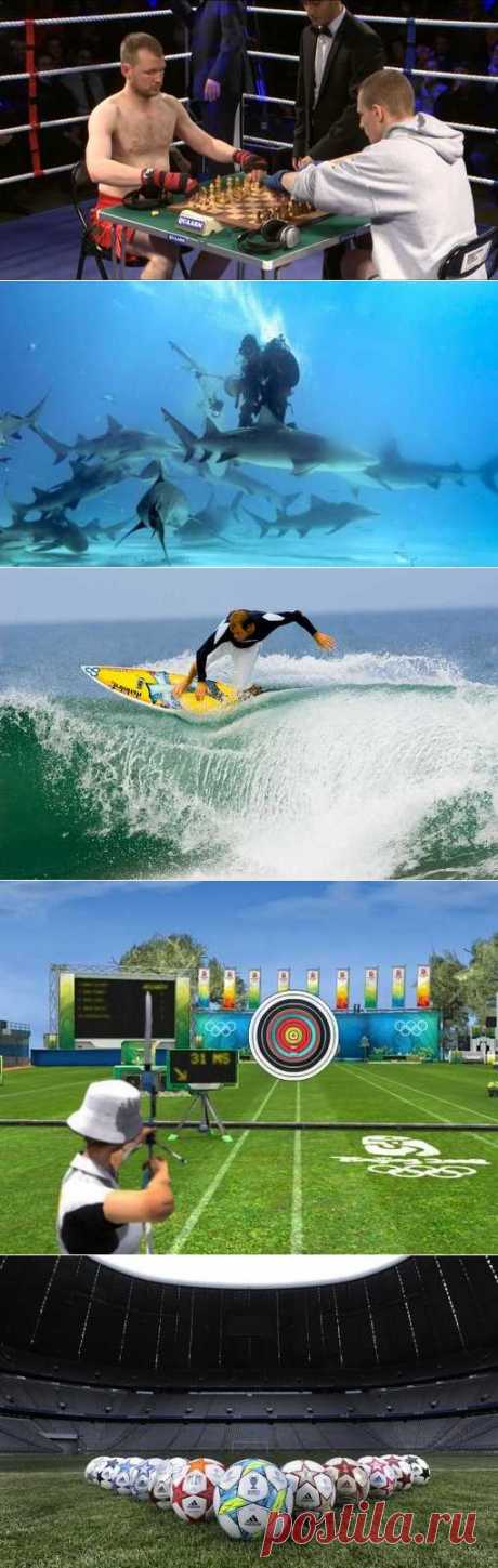 Хапсагай, Ходьба скандинавская, Стрельба из лука, Бокс французский. (1/1) - Спортивный форум. - Спортивный сайт