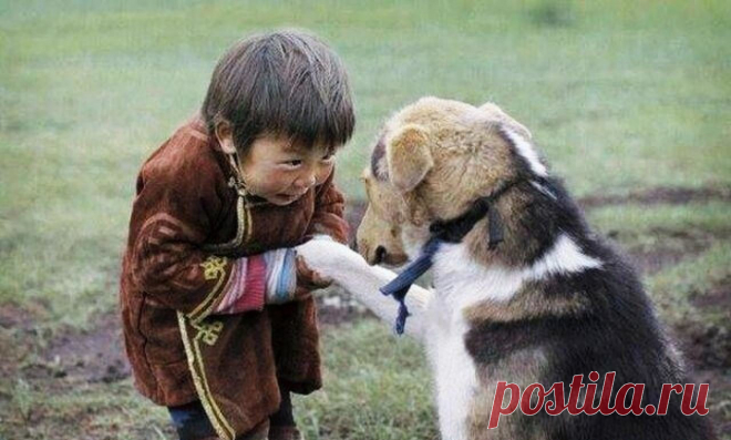 (58) Одноклассники