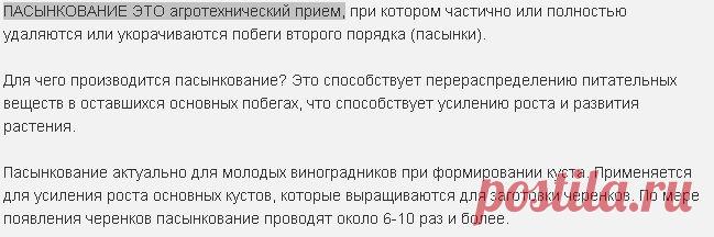 ПАСЫНКОВАНИЕ ЭТО агротехнический прием,