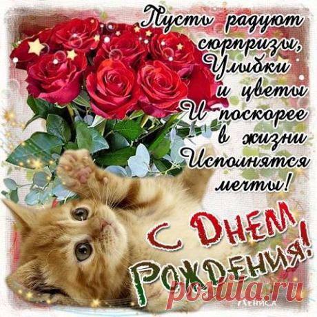 Новости