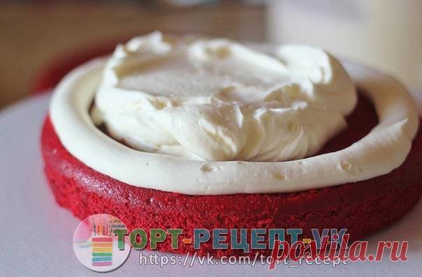 КРЕМ-ЧИЗ НА МАСЛЕ - ОЧЕНЬ ПОДРОБНО!! 

Супер крем, который подходит и для прослойки бисквитных коржей, и для выравнивая тортов, и для создания восхитительных шапочек для капкейков. А вместе с Красным бархатом - безусловно самое лучшее сочетание! 

Всем привет. Сегодня будем готовить супер крем, который подходит и для прослойки бисквитных коржей, и для выравнивая тортов, и для создания восхитительных шапочек для капкейков. Да-да, это всё о нём, о так называемом крем - чизе....