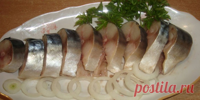 Как засолить скумбрию в домашних условиях целиком и кусочками - пошаговые рецепты с фото