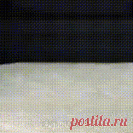 Для тех, у кого есть коты