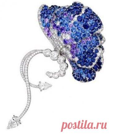 Van Cleef & Arpels | Papillon Calligo brooch