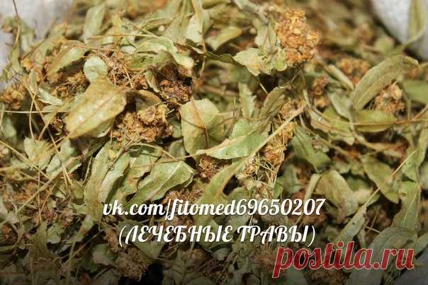 ЛЕЧЕБНЫЕ ТРАВЫ- Лечение народной медициной | ЗОЖ