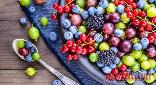 21 продукт, ускоряющий обмен веществ. Правильное питание для ускорения обмена веществ