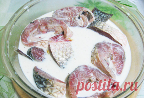 Как лучше размораживать рыбу, чтобы приготовить ее быстро и вкусно?