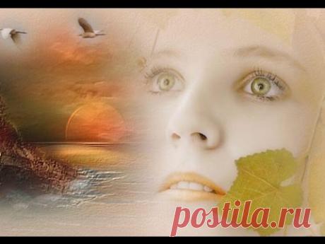 Белые лебеди White swans