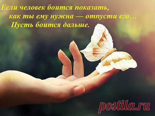 Интересные новости