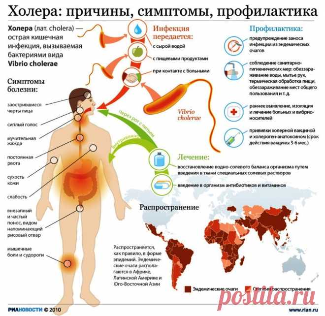 Холера причины, симптомы, профилактика