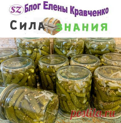 Маринованные огурцы корнишоны: 7 рецептов на зиму