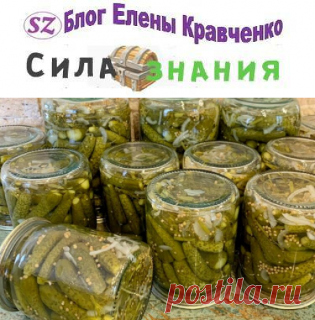 Маринованные огурцы корнишоны: 7 рецептов на зиму