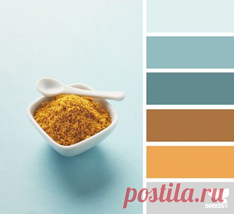 Design Seeds® | find your palette