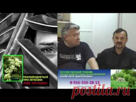 Лечебные настои на софоре японской.
Настои из софоры японской, сегодня активно применяются специалистами при лечении рака различной локализации, а также при лечении инфаркта миокарда, кровоизлияния в мозг, рассасывании кровоподтёков от ушибов, гематом, пролежней.