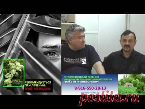 Лечебные настои на софоре японской.
Настои из софоры японской, сегодня активно применяются специалистами при лечении рака различной локализации, а также при лечении инфаркта миокарда, кровоизлияния в мозг, рассасывании кровоподтёков от ушибов, гематом, пролежней.