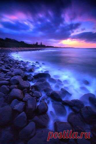 Art Of Nature