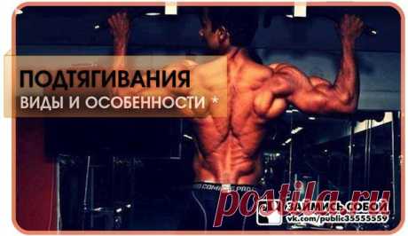 Подтягивания / Спорт Сильных!