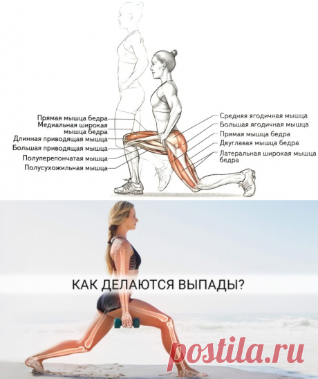 Как правильно делать выпады для упругой попы! Такие упражнения для ягодиц и бедер как выпады позволяют активизировать работу всех групп мышц бедер и ягодиц. ⤴ Кликайте на фото, чтобы прочитать полностью