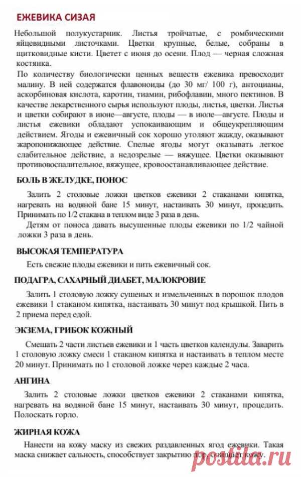 Лечение ежевикой.
Травник. Золотые рецепты народной медицины. Универсальный справочник. Москва 2007.