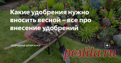 Какие удобрения нужно вносить весной – все про внесение удобрений Опытный дачник знает, какие удобрения нужно вносить весной, чтобы получить высокий урожай. Для улучшения качества грунта применяют органические и минеральные составы. Огороднику необходимо знать сроки весеннего обогащения грунта питательными смесями.
