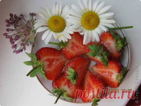 рука и ромашка: 32 тыс изображений найдено в Яндекс.Картинках