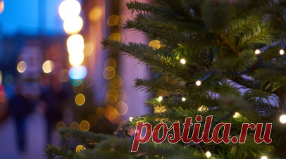 Большинство россиян хотели бы видеть украшенные к Новому году подъезды. Новое исследование показало, что более половины россиян активно готовятся к праздникам и покупают украшения для дома и интерьера, чтобы создать новогоднюю атмосферу. Читать далее