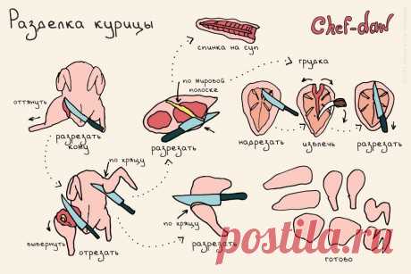 20 Шпаргалок Для Кухни