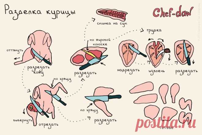 20 Шпаргалок Для Кухни