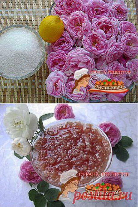 Варенье из лепестков чайной розы пошаговый фото рецепт