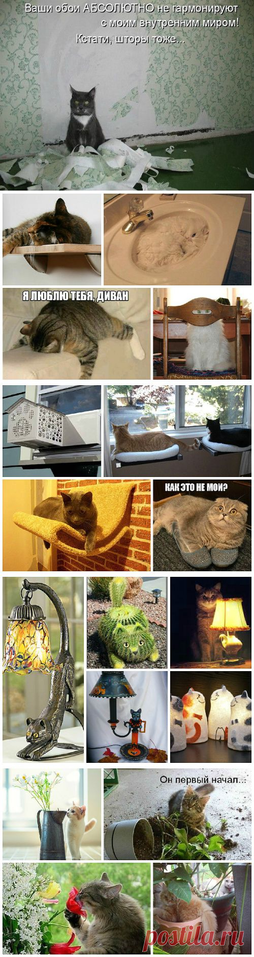Интерьер для кота и кот в интерьере - 8 правил кошачьего декора