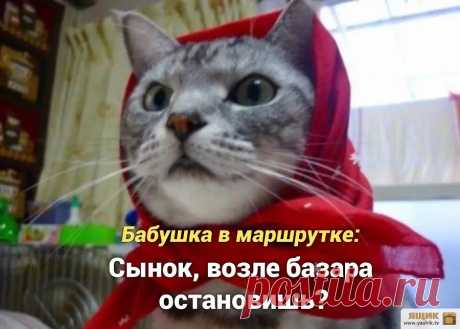 Забавная игра слов / Картинки: Животные