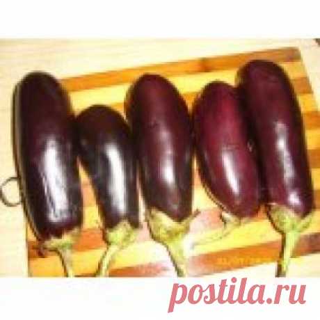 Баклажаны замороженные Кулинарный рецепт