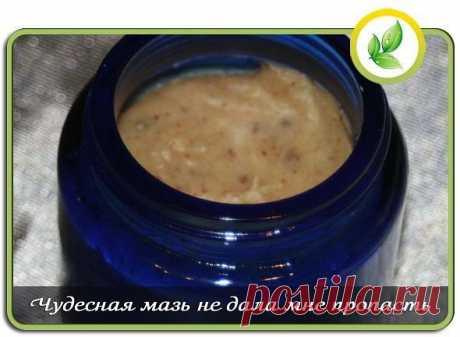 (97) Одноклассники