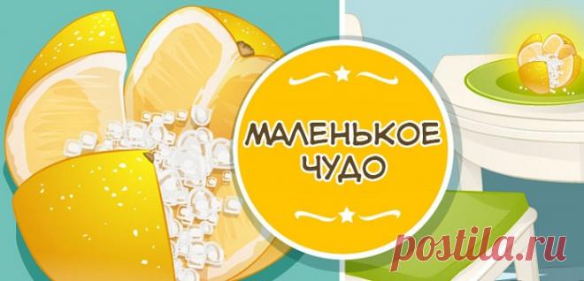 Маленькое чудо на кухне: лимоны с солью! Научно доказано, что лимон невероятно полезен для здоровья. Тем не менее, не все знают, что лимон еще и отлично справляется с неприятными запахами. В то время, пока вы спите, цитру