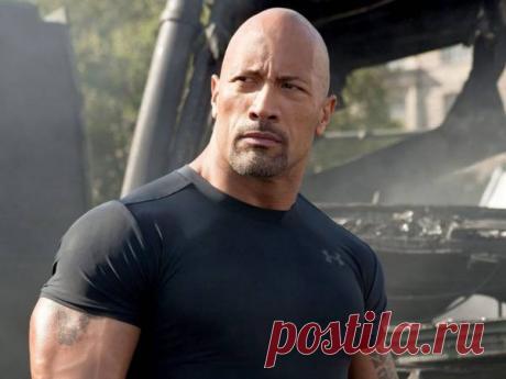 Почему женщины считают лысых мужчин более привлекательными — Гармония в тебе