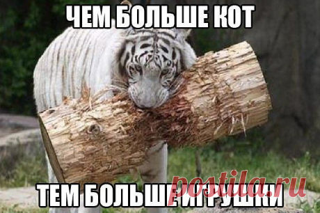 ОптимизМмм! :D